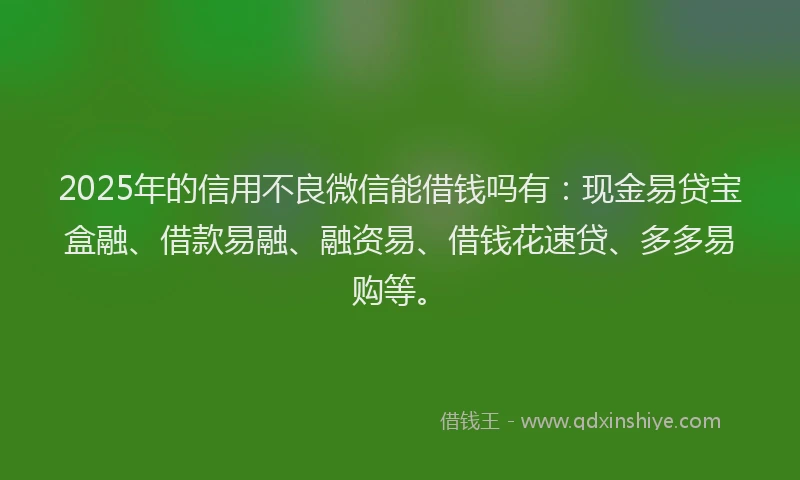 2025年的信用不良微信能借钱吗有：现金易贷宝盒融、借款易融、融资易、借钱花速贷、多多易购等。