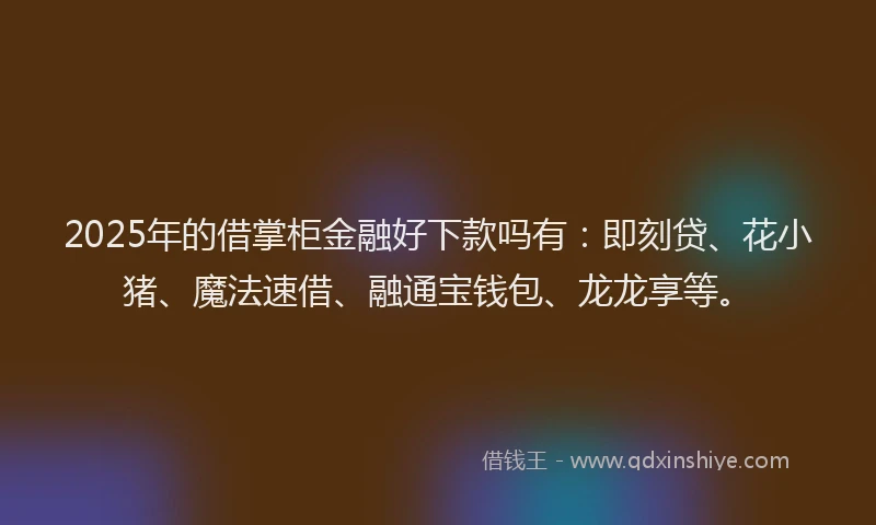 2025年的借掌柜金融好下款吗有:即刻贷、花小猪、魔法速借、融通宝钱包、龙龙享等。
