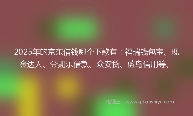 2025年的京东借钱哪个下款有：福瑞钱包宝、现金达人、分期乐借款、众安贷、蓝鸟信用等。