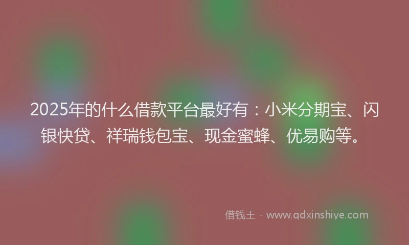 2025年的什么借款平台最好有：小米分期宝、闪银快贷、祥瑞钱包宝、现金蜜蜂、优易购等。