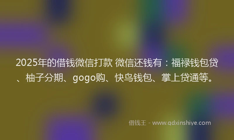 2025年的借钱微信打款 微信还钱有：福禄钱包贷、柚子分期、gogo购、快鸟钱包、掌上贷通等。