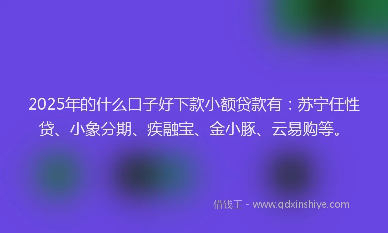 2025年的什么口子好下款小额贷款有：苏宁任性贷、小象分期、疾融宝、金小豚、云易购等。