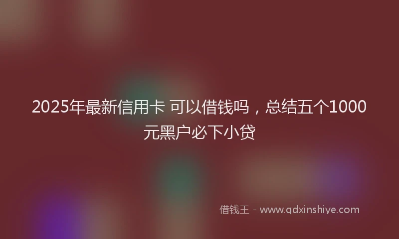 2025年最新信用卡 可以借钱吗，总结五个1000元黑户必下小贷