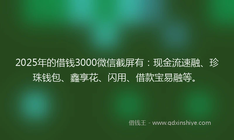 2025年的借钱3000微信截屏有：现金流速融、珍珠钱包、鑫享花、闪用、借款宝易融等。