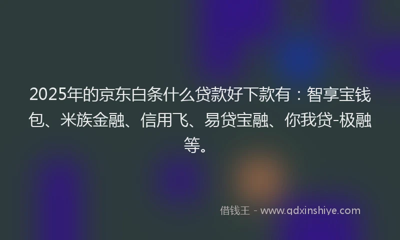 2025年的京东白条什么贷款好下款有：智享宝钱包、米族金融、信用飞、易贷宝融、你我贷-极融等。