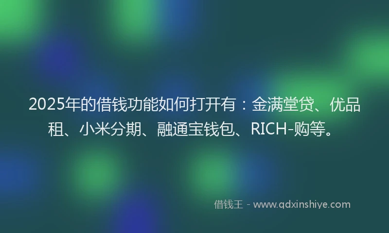2025年的借钱功能如何打开有：金满堂贷、优品租、小米分期、融通宝钱包、RICH-购等。
