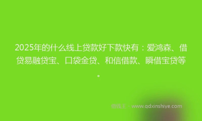 2025年的什么线上贷款好下款快有：爱鸿森、借贷易融贷宝、口袋金贷、和信借款、瞬借宝贷等。