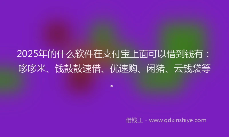 2025年的什么软件在支付宝上面可以借到钱有：哆哆米、钱鼓鼓速借、优速购、闲猪、云钱袋等。