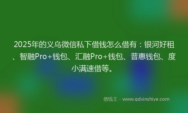 2025年的义乌微信私下借钱怎么借有：银河好租、智融Pro+钱包、汇融Pro+钱包、普惠钱包、度小满速借等。