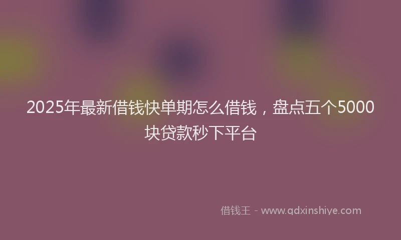 2025年最新借钱快单期怎么借钱，盘点五个5000块贷款秒下平台