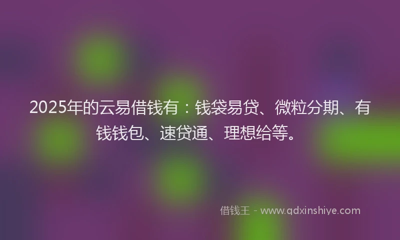 2025年的云易借钱有：钱袋易贷、微粒分期、有钱钱包、速贷通、理想给等。