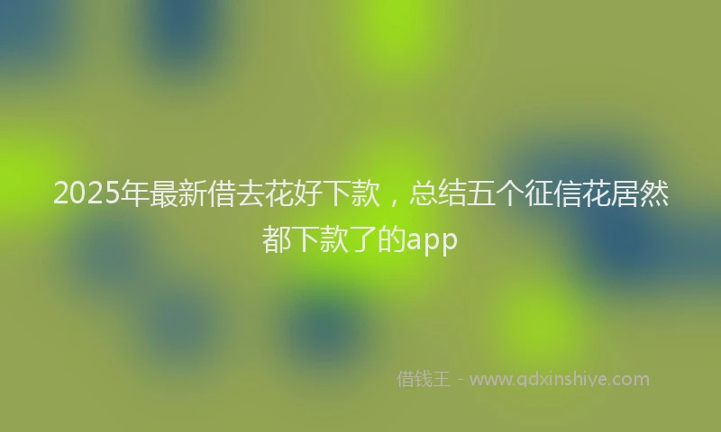 2025年最新借去花好下款，总结五个征信花居然都下款了的app