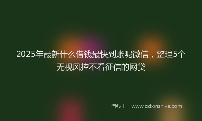 2025年最新什么借钱最快到账呢微信，整理5个无视风控不看征信的网贷