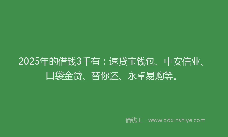2025年的借钱3千有：速贷宝钱包、中安信业、口袋金贷、替你还、永卓易购等。