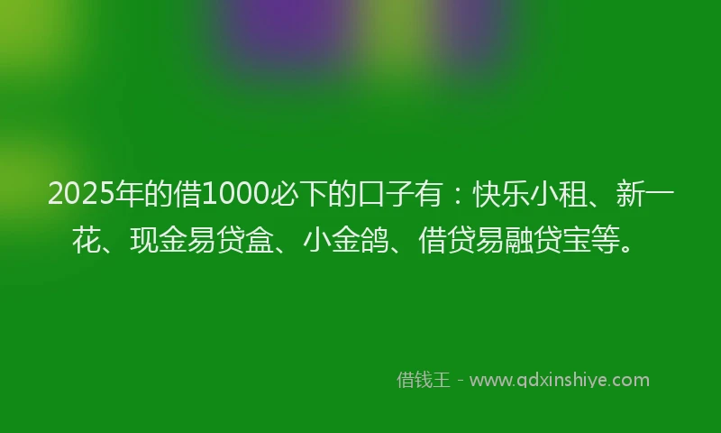 2025年的借1000必下的口子有：快乐小租、新一花、现金易贷盒、小金鸽、借贷易融贷宝等。