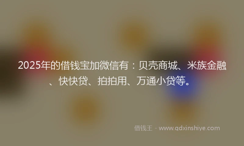 2025年的借钱宝加微信有：贝壳商城、米族金融、快快贷、拍拍用、万通小贷等。
