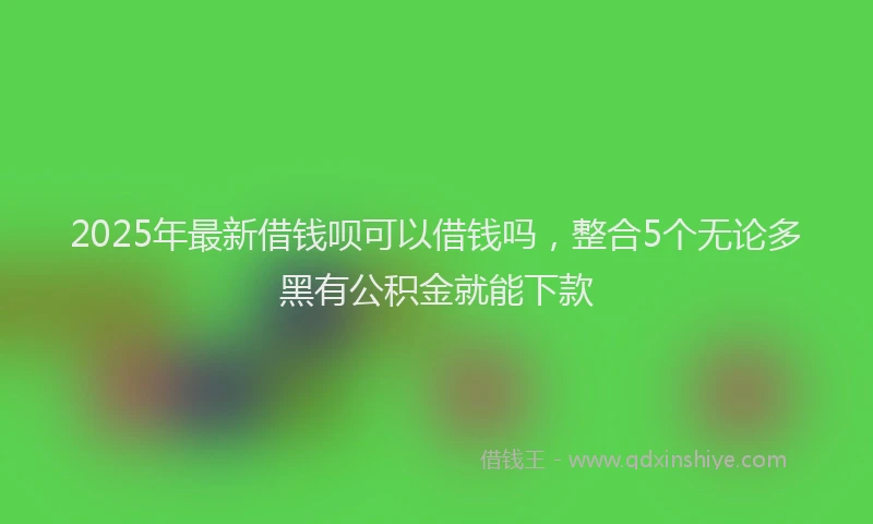 2025年最新借钱呗可以借钱吗，整合5个无论多黑有公积金就能下款