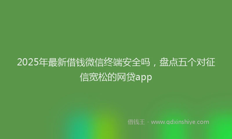 2025年最新借钱微信终端安全吗，盘点五个对征信宽松的网贷app
