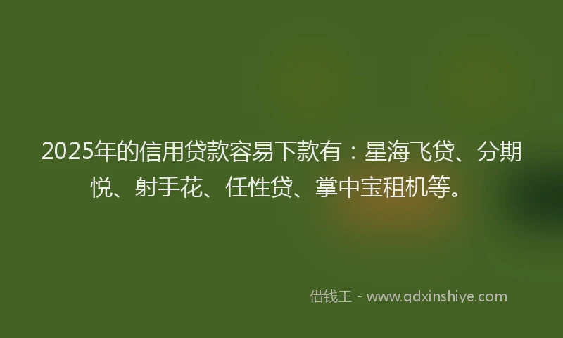 2025年的信用贷款容易下款有：星海飞贷、分期悦、射手花、任性贷、掌中宝租机等。