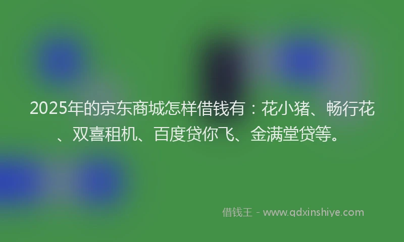 2025年的京东商城怎样借钱有：花小猪、畅行花、双喜租机、百度贷你飞、金满堂贷等。