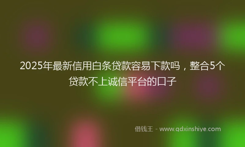 2025年最新信用白条贷款容易下款吗，整合5个贷款不上诚信平台的口子