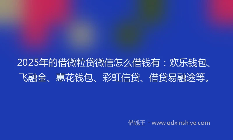 2025年的借微粒贷微信怎么借钱有：欢乐钱包、飞融金、惠花钱包、彩虹信贷、借贷易融途等。