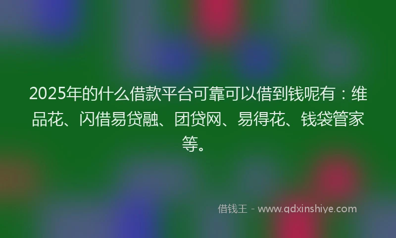 2025年的什么借款平台可靠可以借到钱呢有：维品花、闪借易贷融、团贷网、易得花、钱袋管家等。