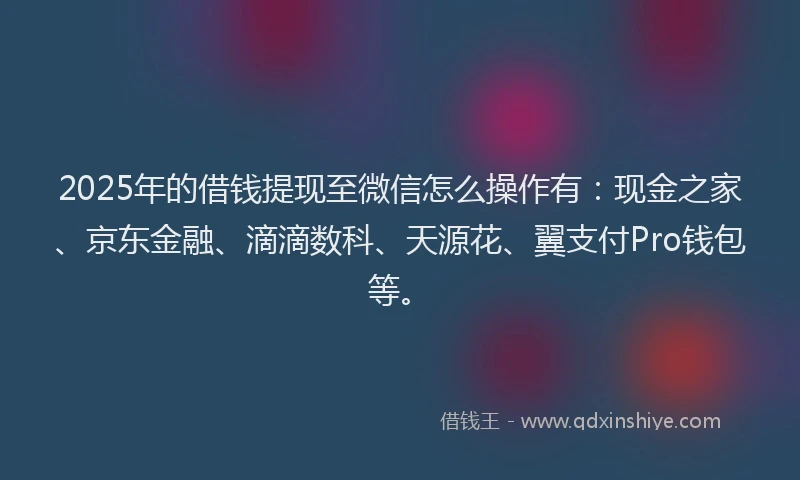 2025年的借钱提现至微信怎么操作有：现金之家、京东金融、滴滴数科、天源花、翼支付Pro钱包等。