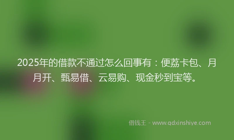 2025年的借款不通过怎么回事有：便荔卡包、月月开、甄易借、云易购、现金秒到宝等。