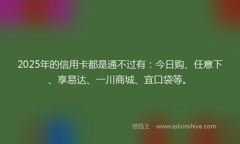2025年的信用卡都是通不过有：今日购、任意下、享易达、一川商城、宜口袋等。
