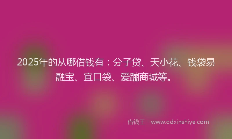 2025年的从哪借钱有：分子贷、天小花、钱袋易融宝、宜口袋、爱蹦商城等。