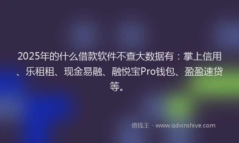2025年的什么借款软件不查大数据有：掌上信用、乐租租、现金易融、融悦宝Pro钱包、盈盈速贷等。