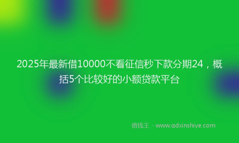 2025年最新借10000不看征信秒下款分期24，概括5个比较好的小额贷款平台