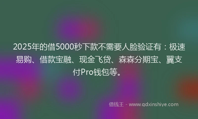 2025年的借5000秒下款不需要人脸验证有：极速易购、借款宝融、现金飞贷、森森分期宝、翼支付Pro钱包等。