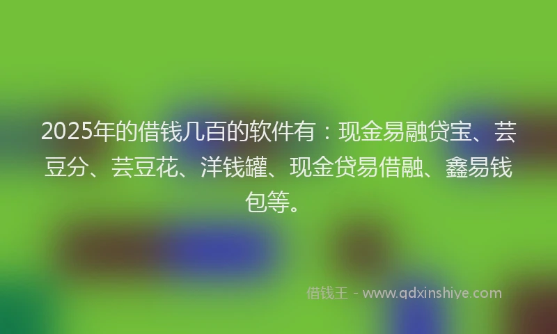 2025年的借钱几百的软件有：现金易融贷宝、芸豆分、芸豆花、洋钱罐、现金贷易借融、鑫易钱包等。