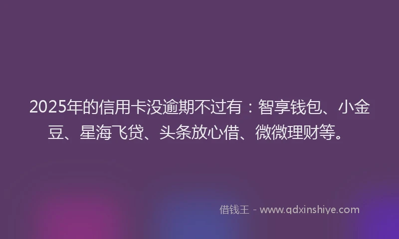 2025年的信用卡没逾期不过有：智享钱包、小金豆、星海飞贷、头条放心借、微微理财等。