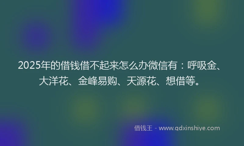 2025年的借钱借不起来怎么办微信有：呼吸金、大洋花、金峰易购、天源花、想借等。