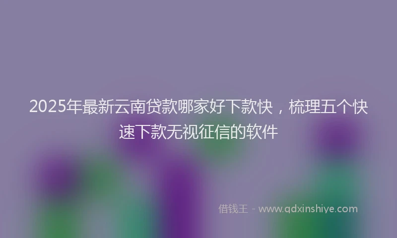 2025年最新云南贷款哪家好下款快，梳理五个快速下款无视征信的软件