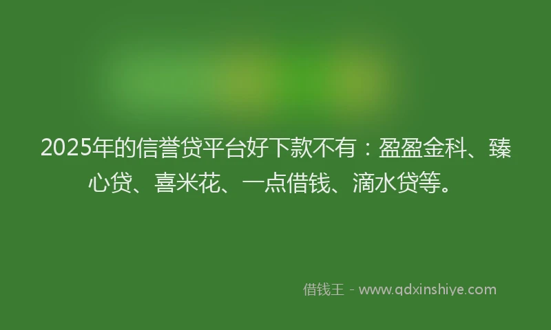2025年的信誉贷平台好下款不有：盈盈金科、臻心贷、喜米花、一点借钱、滴水贷等。