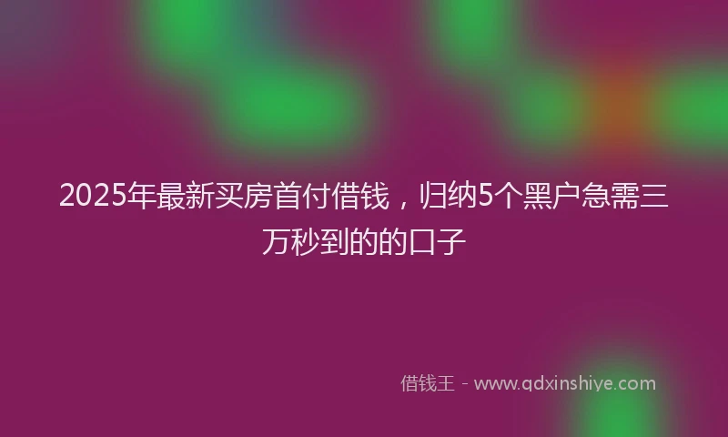 2025年最新买房首付借钱，归纳5个黑户急需三万秒到的的口子