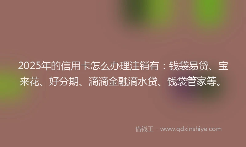 2025年的信用卡怎么办理注销有：钱袋易贷、宝来花、好分期、滴滴金融滴水贷、钱袋管家等。