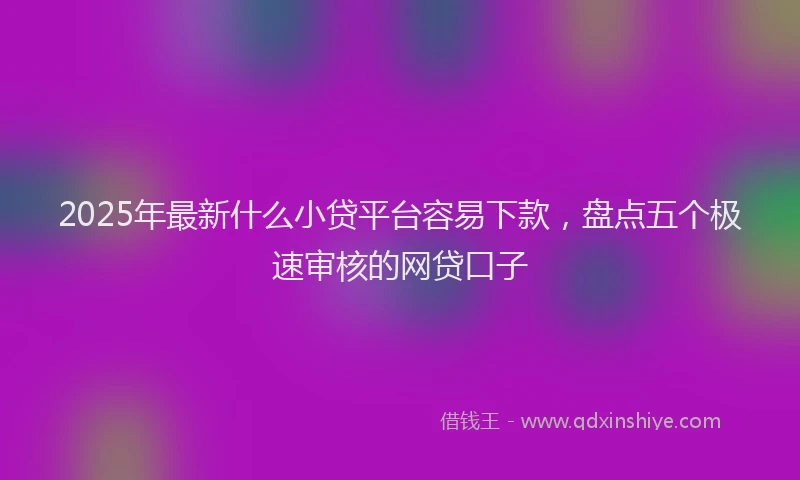 2025年最新什么小贷平台容易下款，盘点五个极速审核的网贷口子