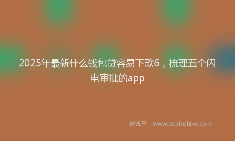 2025年最新什么钱包贷容易下款6，梳理五个闪电审批的app