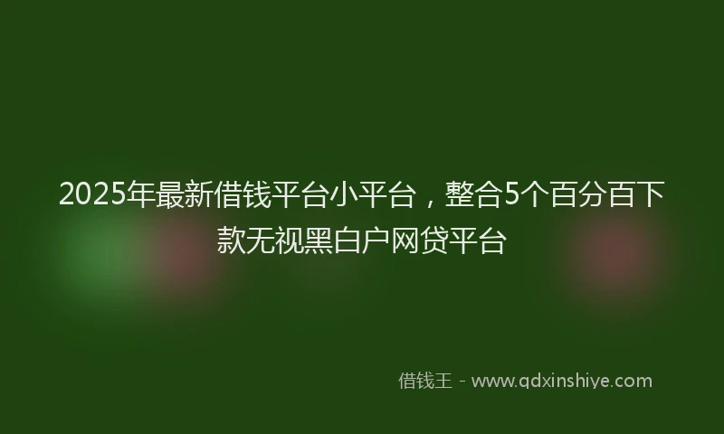 2025年最新借钱平台小平台，整合5个百分百下款无视黑白户网贷平台
