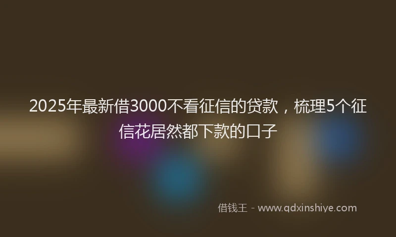 2025年最新借3000不看征信的贷款，梳理5个征信花居然都下款的口子