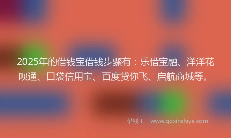 2025年的借钱宝借钱步骤有：乐借宝融、洋洋花呗通、口袋信用宝、百度贷你飞、启航商城等。