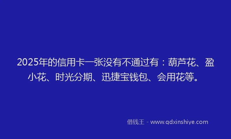 2025年的信用卡一张没有不通过有：葫芦花、盈小花、时光分期、迅捷宝钱包、会用花等。