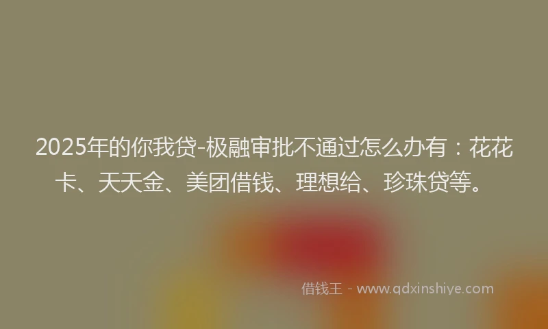 2025年的你我贷-极融审批不通过怎么办有：花花卡、天天金、美团借钱、理想给、珍珠贷等。