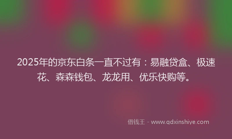 2025年的京东白条一直不过有：易融贷盒、极速花、森森钱包、龙龙用、优乐快购等。