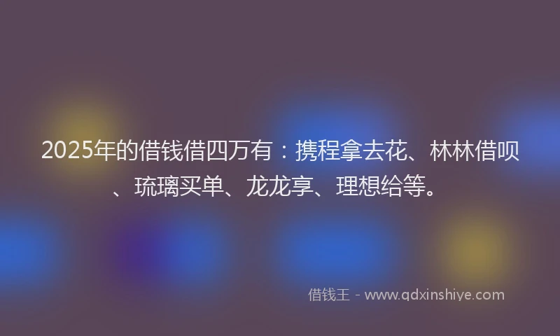 2025年的借钱借四万有：携程拿去花、林林借呗、琉璃买单、龙龙享、理想给等。
